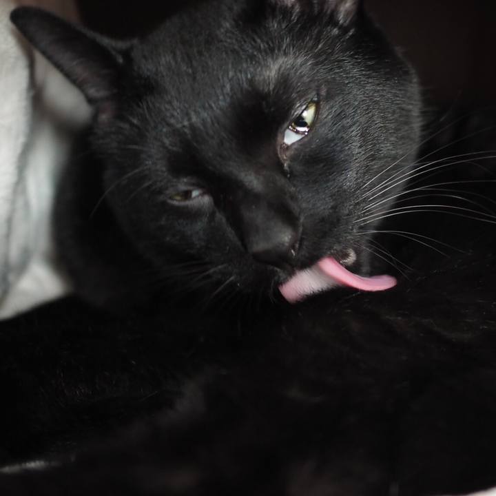 E642f1d9 b7f2 4d16 9918 5644b5c10180 1541826043977