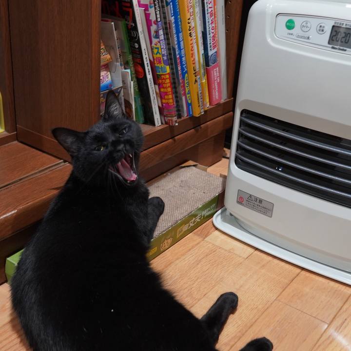 E6430528 9451 42a8 a584 6e09e32a0a3c 1614262157214