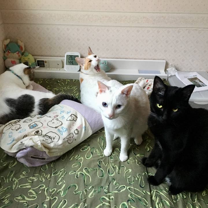 E64371a9 d3d1 4fa2 ae4a 9f69703b7989 1525081827332