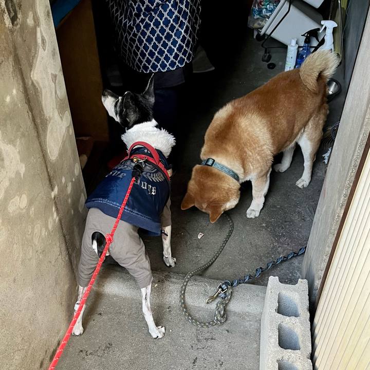 E6439a55 e0f1 4155 968a 70b001377eb8 1647735959297