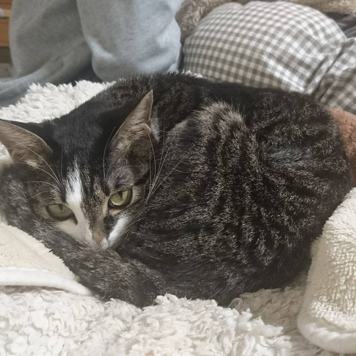 E643c350 e1c3 4aae 8bb7 444bd56c6088 1514084467292