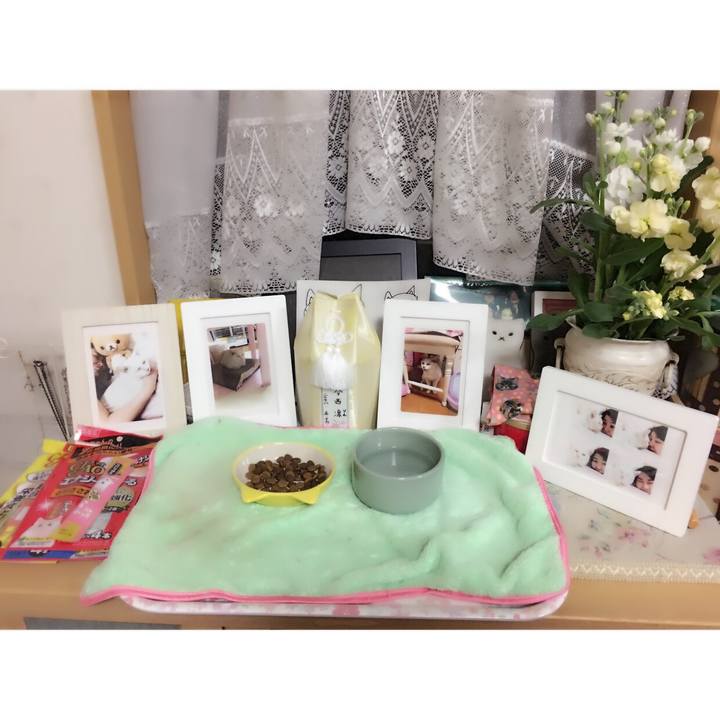 E643e331 505f 46c8 b3c0 f9b0adecd206 1547718260542