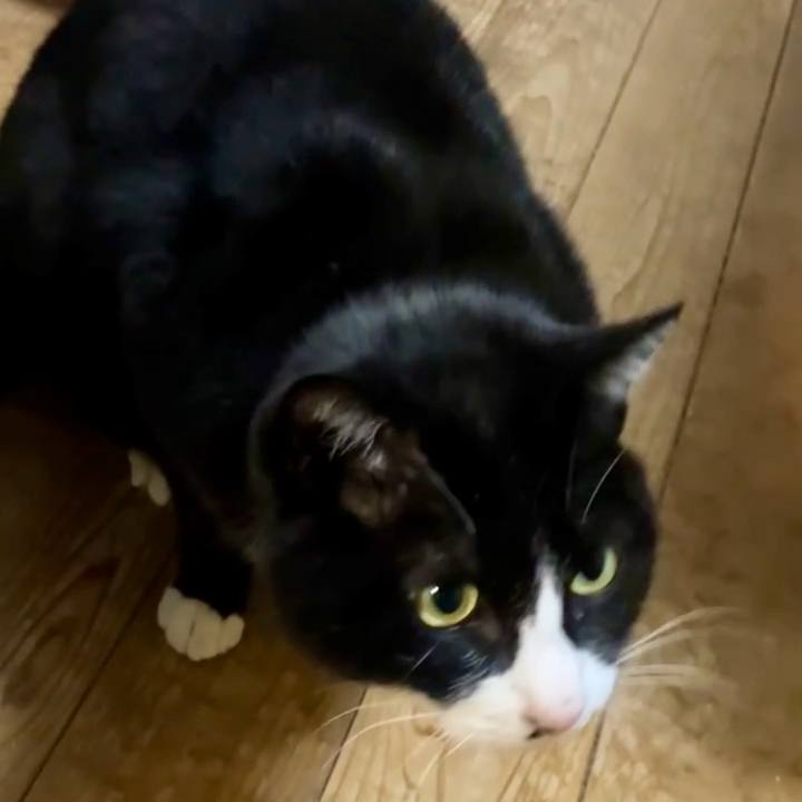 E643f916 2b0d 4108 a613 1cfc7f1e2e83 1739345557819