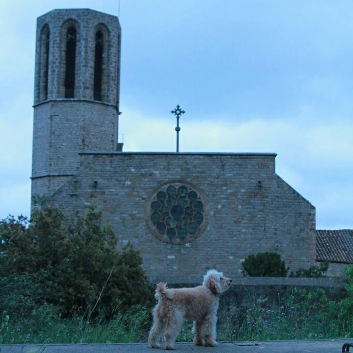 E6440dc8 a316 4bd9 b6a1 6014181c082f 1588947435603