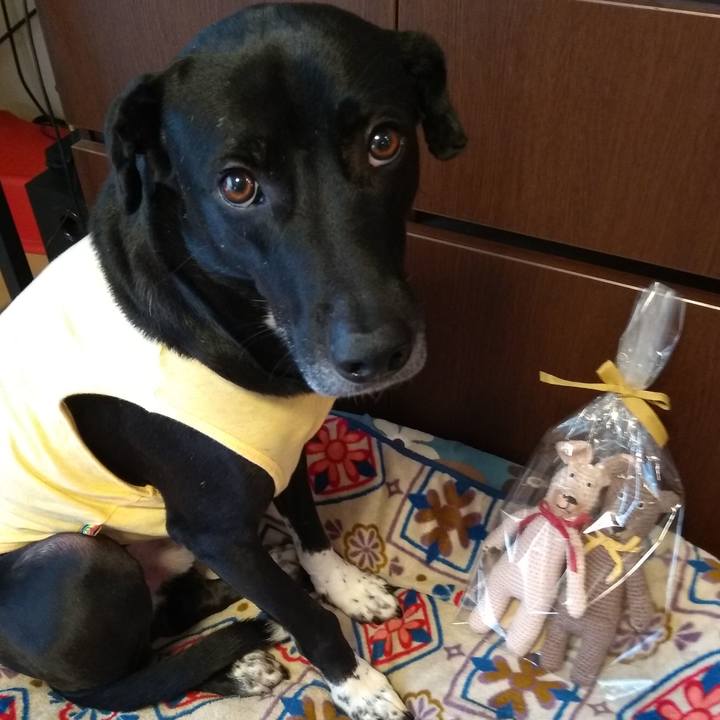 E6441a9e 9f32 4d97 824b e03d628d36b0 1611744265407