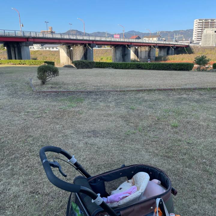 E6446bd8 ca6d 4a3f a647 2754b2c9b931 1667888089946