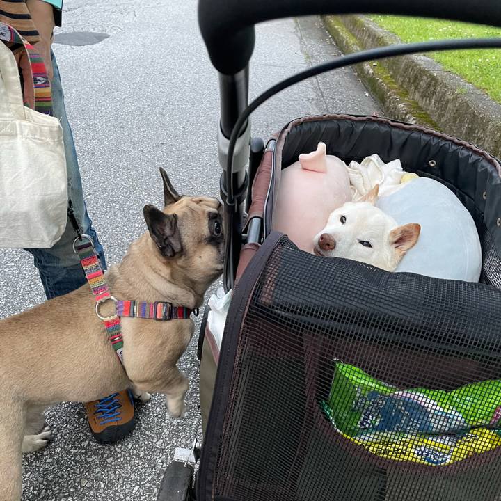 E6446ce0 0479 469a 99fd c21135c8b794 1685102872783