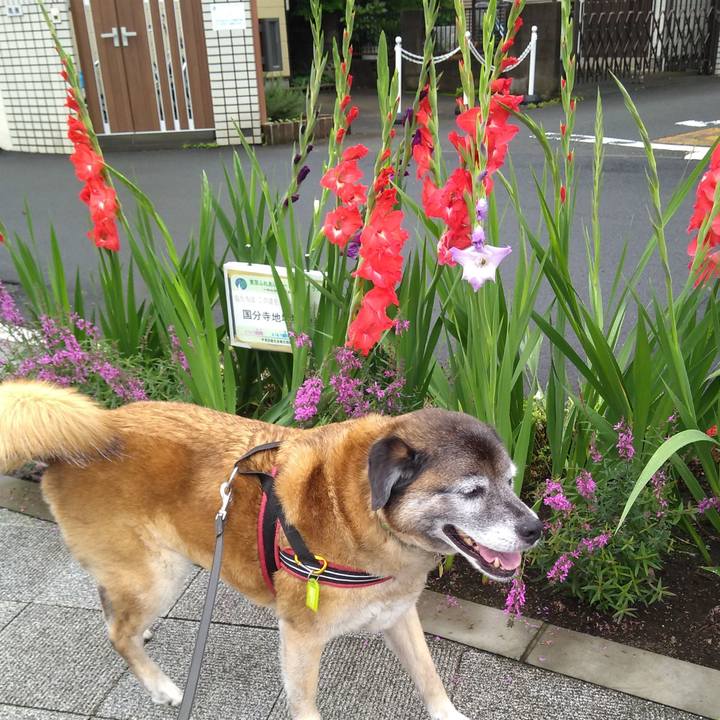 E6446e2a 9dcf 4c45 96cc a175bfd979df 1563321524945