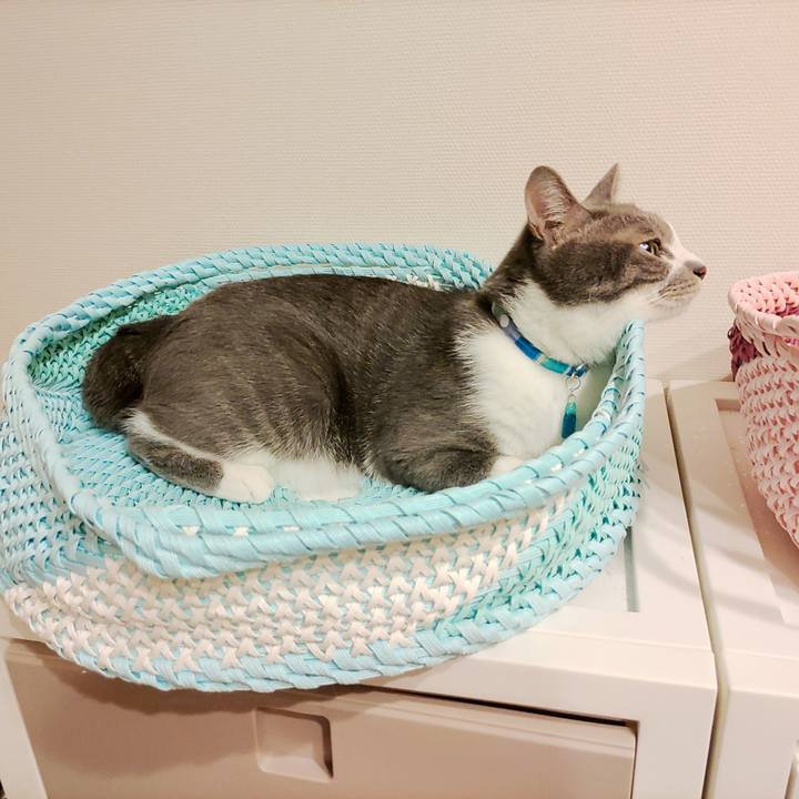 E6448961 16b0 4204 8fc4 367e00acf1d9 1659444716457