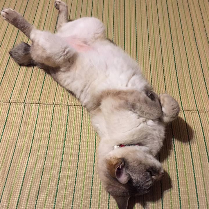 E6448df1 dd3a 4630 ab47 1623b0e62bc9 1529668213090