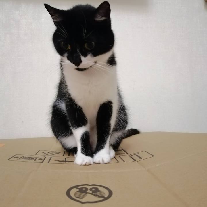 E6449172 9419 4926 b765 76a4e1a9b2e8 1613854360370