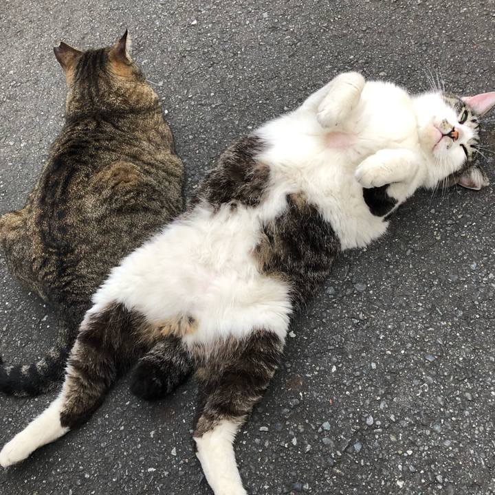 E6449be0 ebe7 4b60 ac6f 4e450d6f80ba 1590573919728