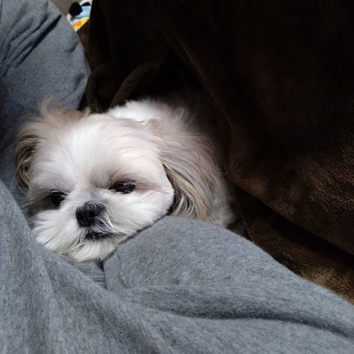 E644a344 915f 4eaf 9a71 18dcf6c3815d 1700868504574