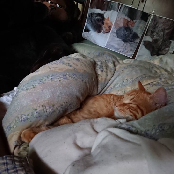 E644e72f d58c 46f6 a232 f0b3eba94263 1658352466426