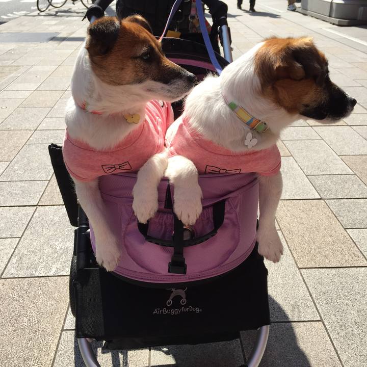 E644ea2a d822 4fb5 b740 19c8f1438f6e 1520334610978