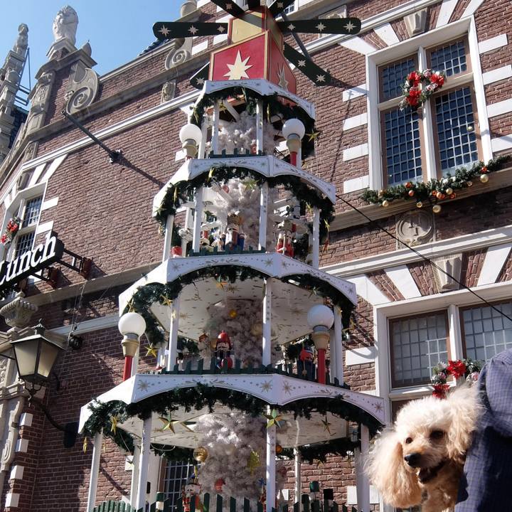 E6455dcd 1e2e 4f1c a6a0 ba521b633cdd 1639659796408