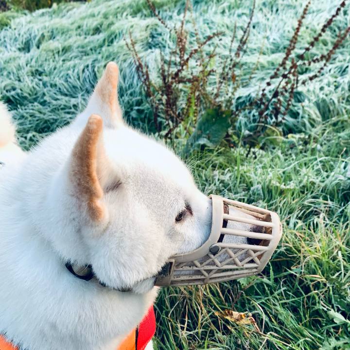 E645969a 69c5 4c01 b0c4 45e17fa4308d 1634592323759