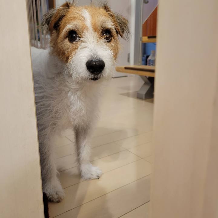 E645af48 0aa1 4df7 ba1a 97a7b0c8308b 1694160676053