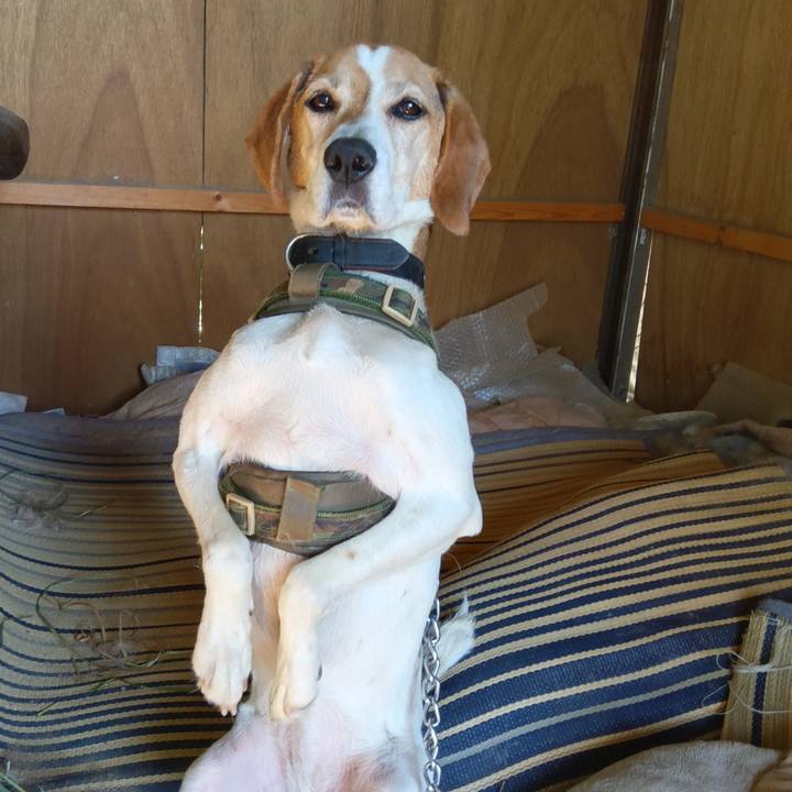 E645f30e f760 4117 b102 652ccd281786 1719204356864