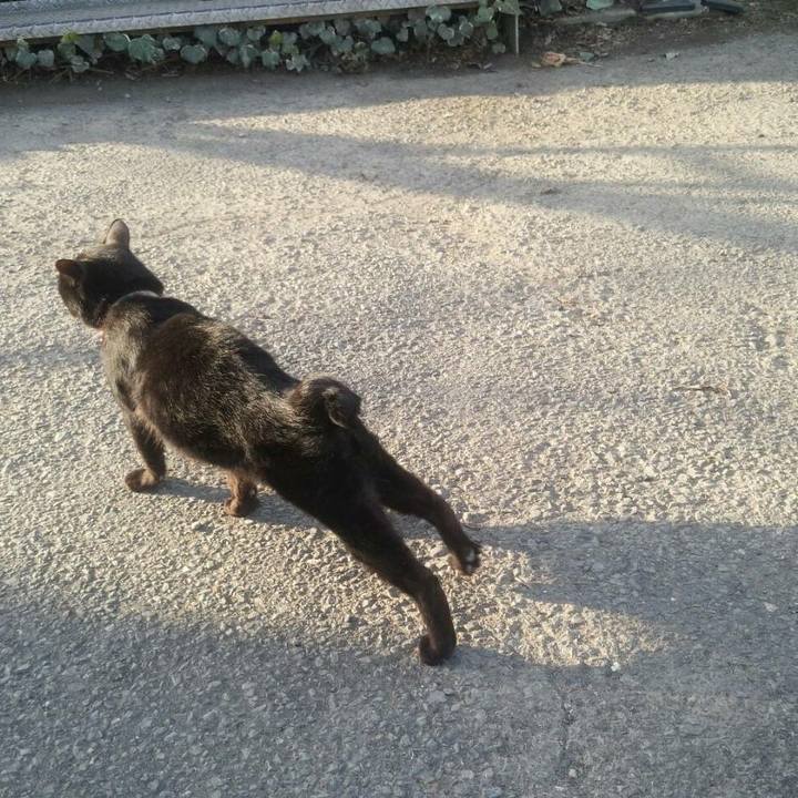 E6461740 53f1 4e20 b51d f66160f429cc 1513347750003