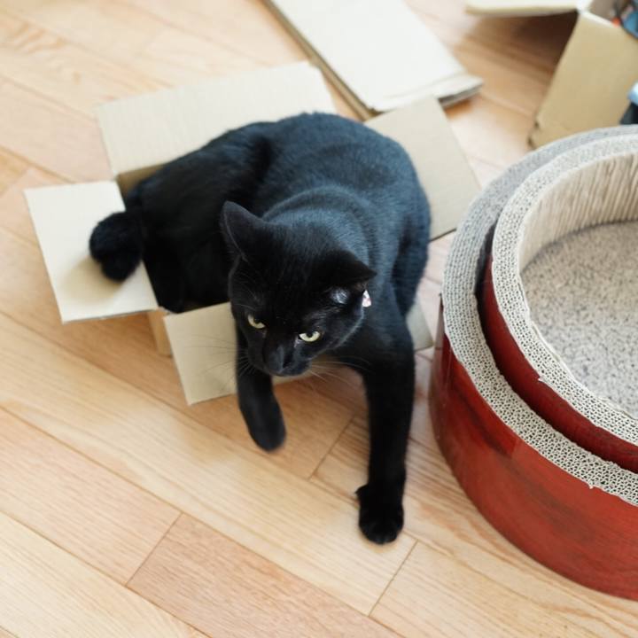 E64627ad 4257 4fa5 bba0 50be637423e9 1531702776662