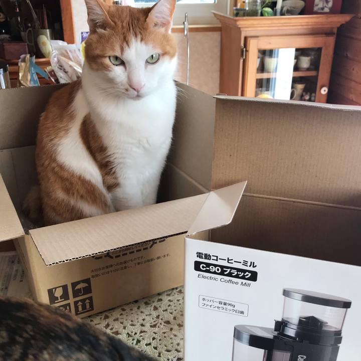 E646322c ff9a 4640 9361 463fef7a332d 1614046326188