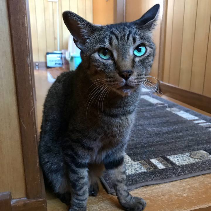 E646511b 5299 4ae8 95b5 f72cf8d500e8 1534123090614