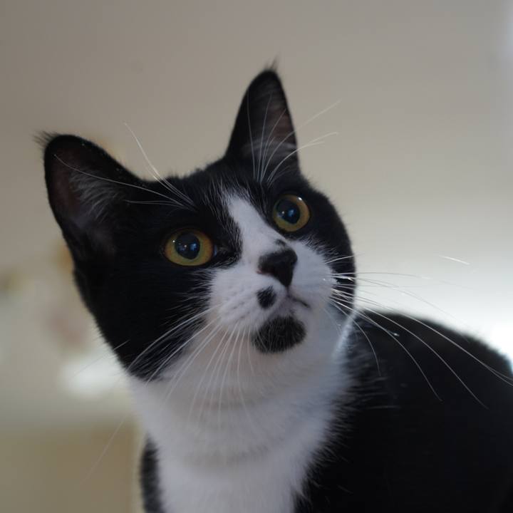 E6465e86 a725 4527 9e7d 6ac16ac0cee8 1638400332401