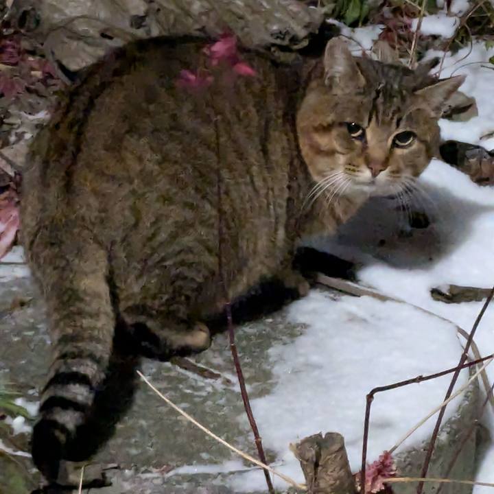 E6466cbf b75a 4408 aa2b 41b695a2f28e 1733651167587