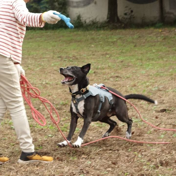 E646bba3 6a55 4880 8458 c2ce9a35794f 1729992029935