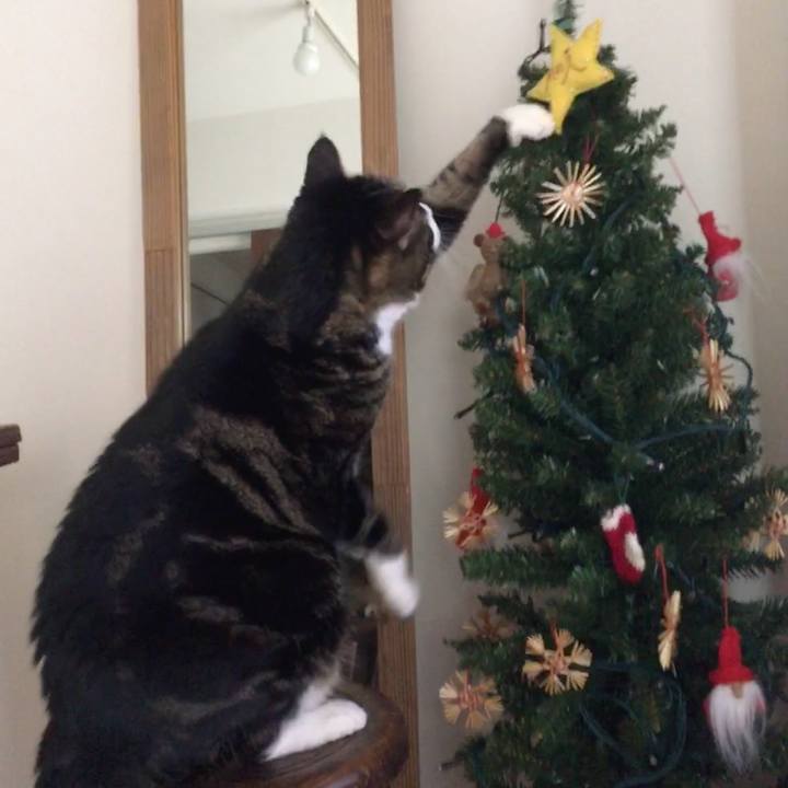 E646d1e4 576d 4def b3b9 3afecce37bf8 1514071301247