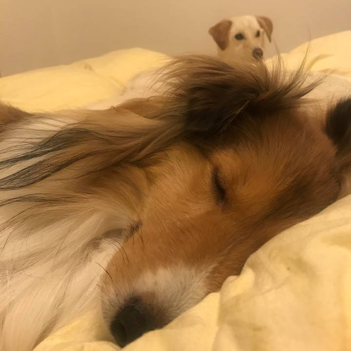 E646d30b 1ad9 4f8f 81b7 1d2601d9ead9 1579531499224