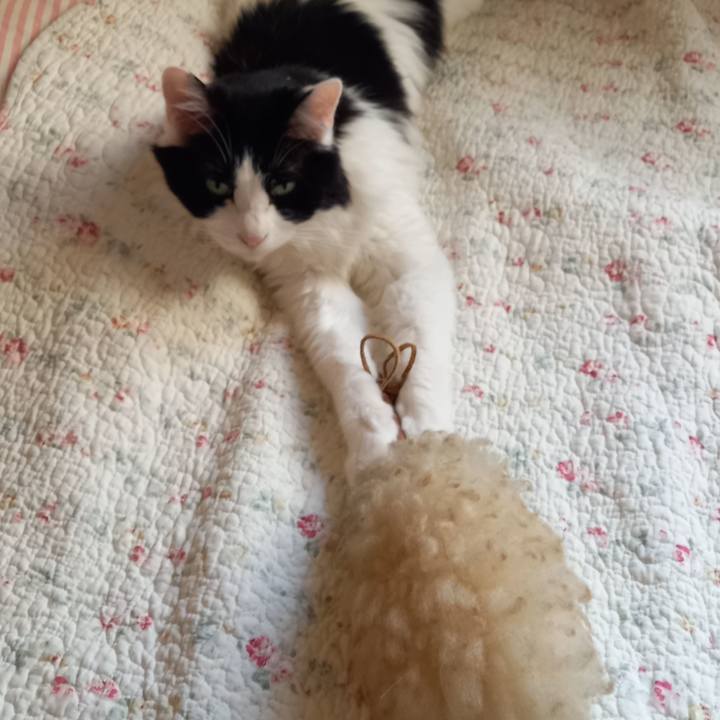 E646d6f7 6d96 4dc9 9c0b 14615124c6bc 1623226433830