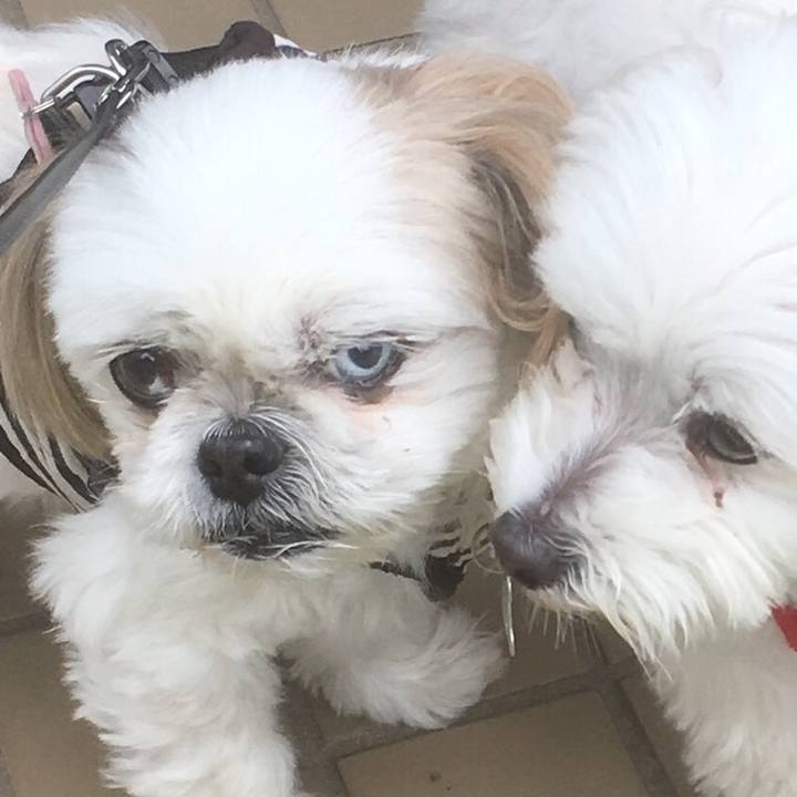 E64726d3 9e04 40f2 9c99 8f017fd3235e 1529225552466