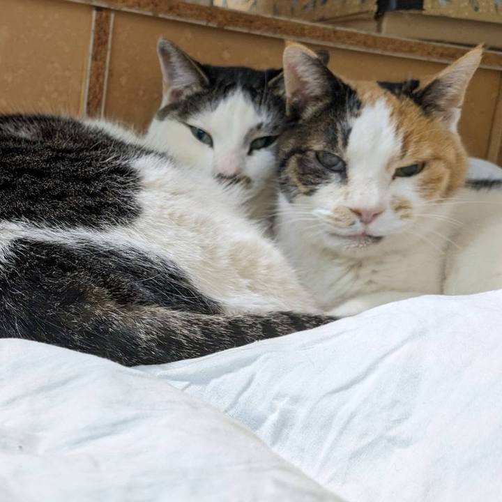 E647349d cb45 4729 bdda c989d843b1c2 1711799416509