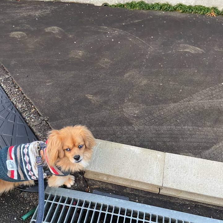 E647413c 8a2b 4459 b1bd ae2fd692f6c5 1583014196034