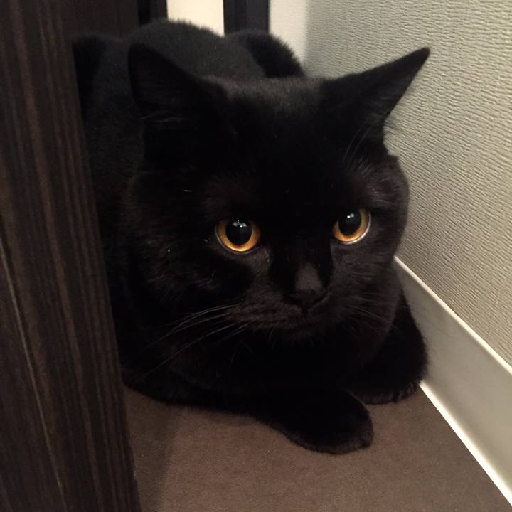 E64763cd dfd3 46d6 8111 e32aae1d3fda 1525181745405