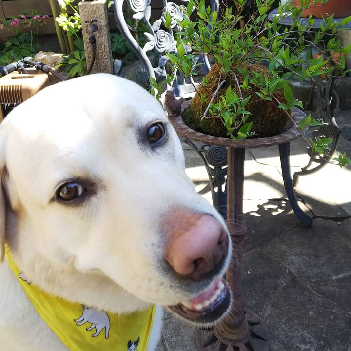 E6476a90 569f 46b9 a1db be50afbd9980 1584494713010