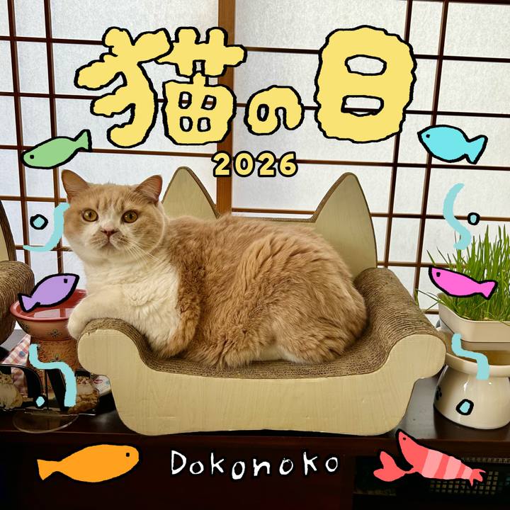 E6476ad4 5c99 4618 b485 17d6767df123 1771722867155