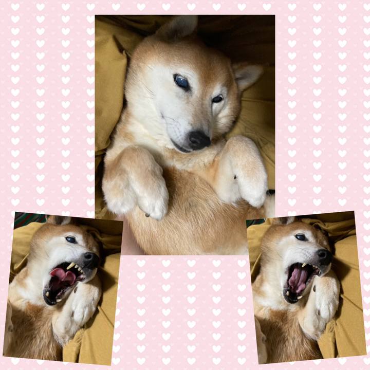 E6477ead 4aa4 48e2 9f15 e5b4ab90d40f 1715261057910