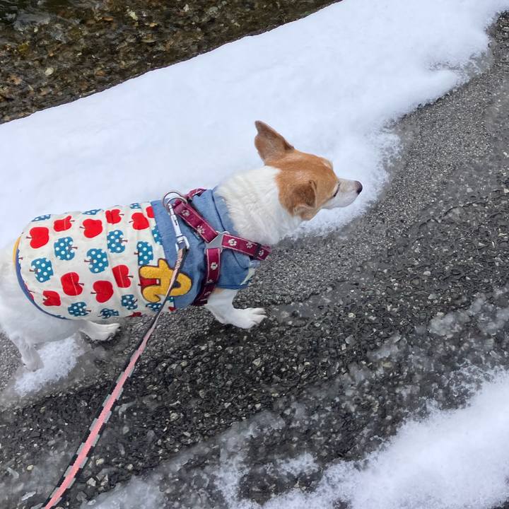 E6479ce1 4dd2 47b0 a50c 293703c691f6 1767406629781