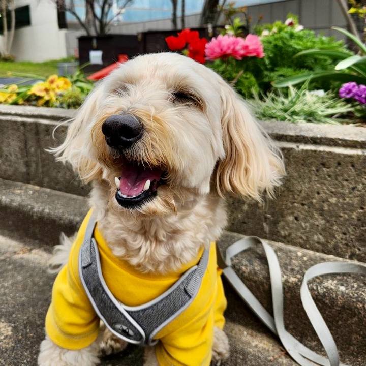 E647e4ca 4905 4cf9 983c 2d2a9cb969d2 1773998947800