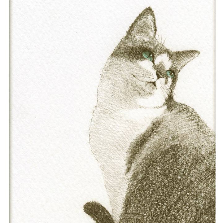 E6483c7c dd9e 4623 8bb6 08f41ad22e93 1510067475051