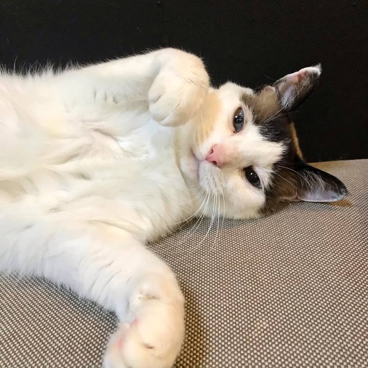 E6483f13 2ce9 475a b325 17a8dc9d448a 1621497892781