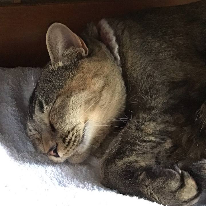 E6485876 5ead 4617 8e40 af9a22e14ae6 1665742687109