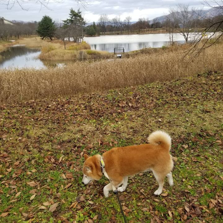 E648ad70 1f37 406e 872a 99a1273853f1 1669696317241