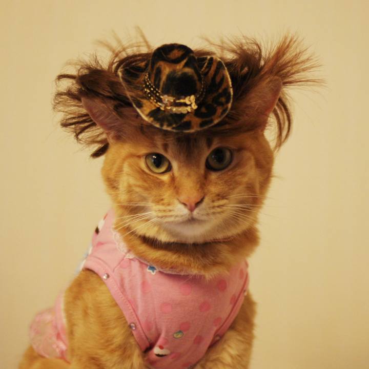 E648c96a f949 4603 8398 fbff31f29c70 1722857721453