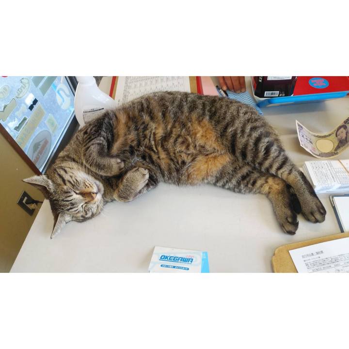 E6490401 5ad6 471b 9a89 577fd6d35688 1619751666042