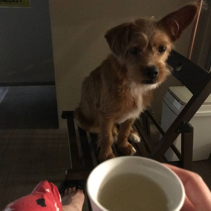 E6490c26 d22a 414a becd b94c1b47b914 1532093300010