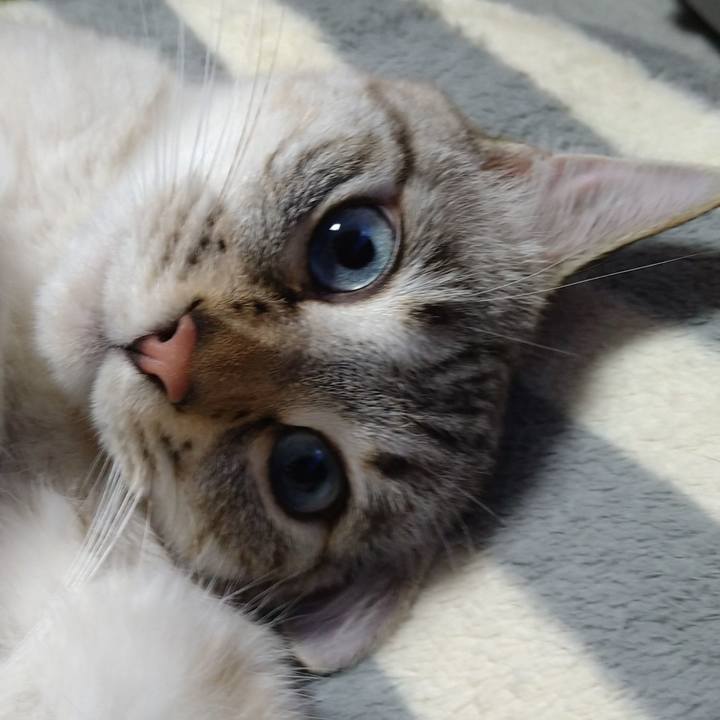 E6493b13 6510 4aac a05f da16e54d3301 1642419517113